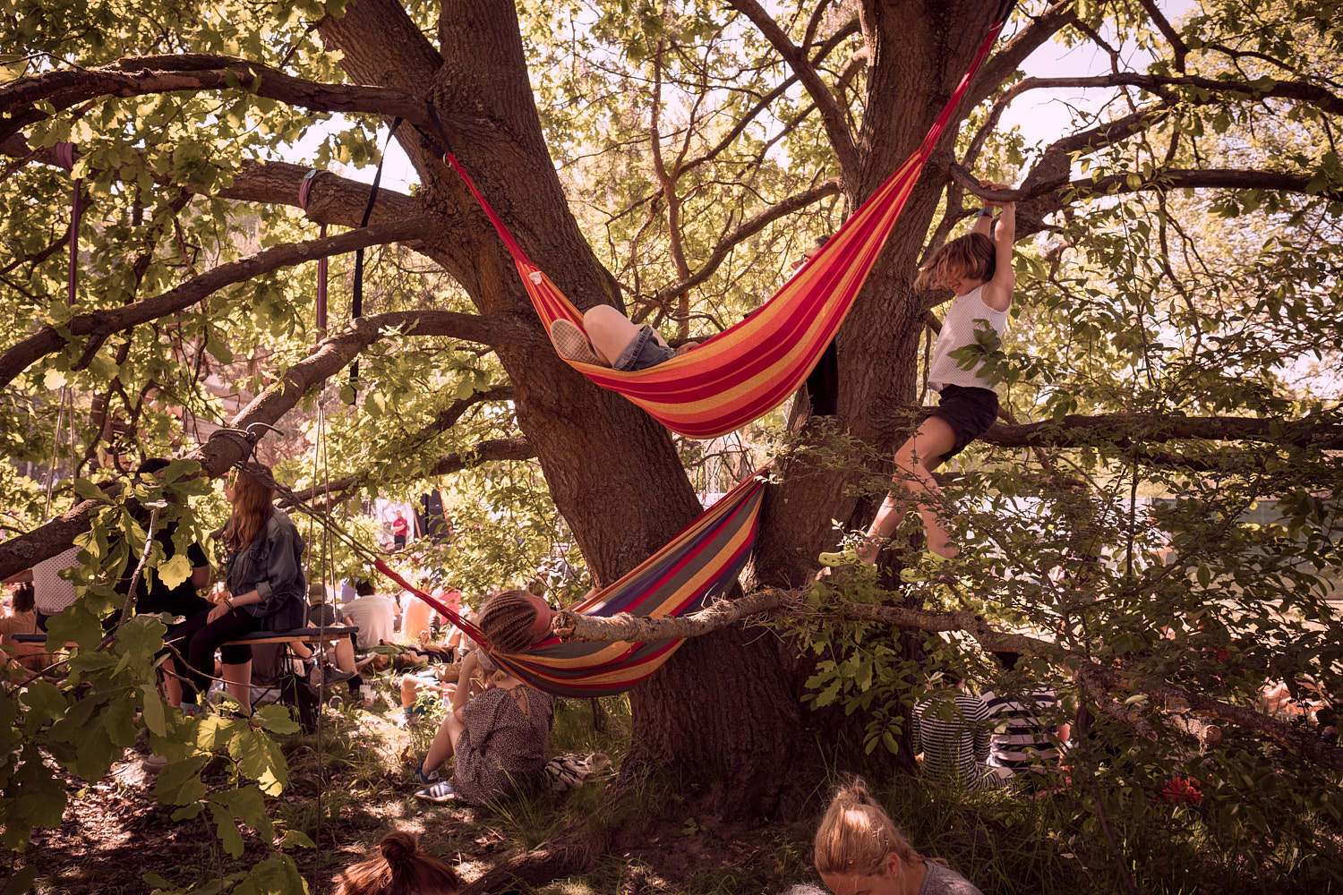 Dominik Wagner Photography