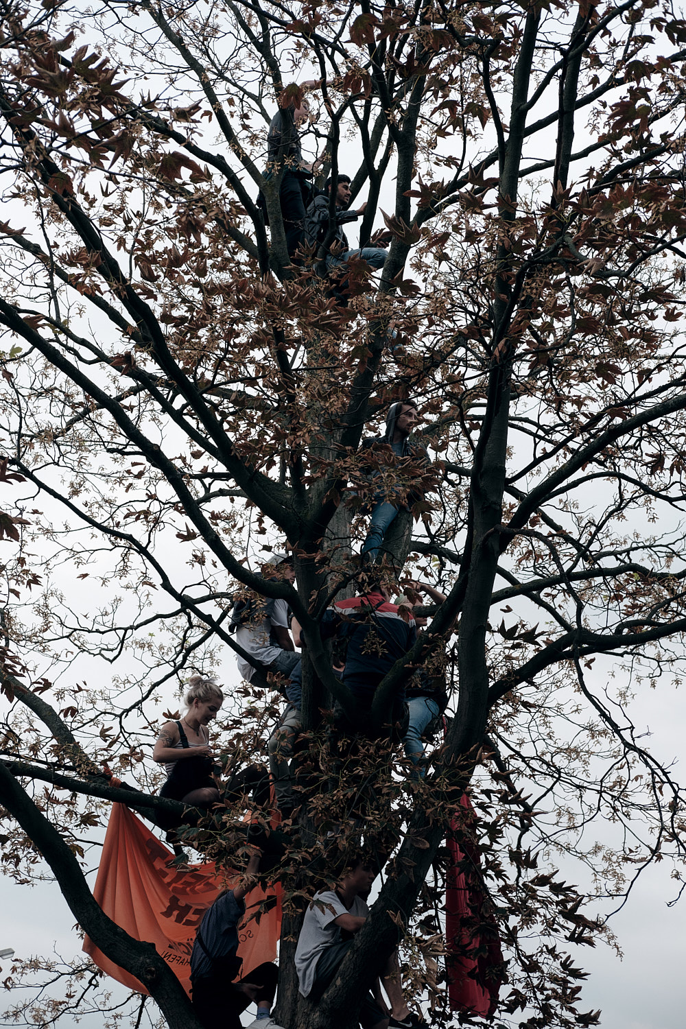 Dominik Wagner Photography